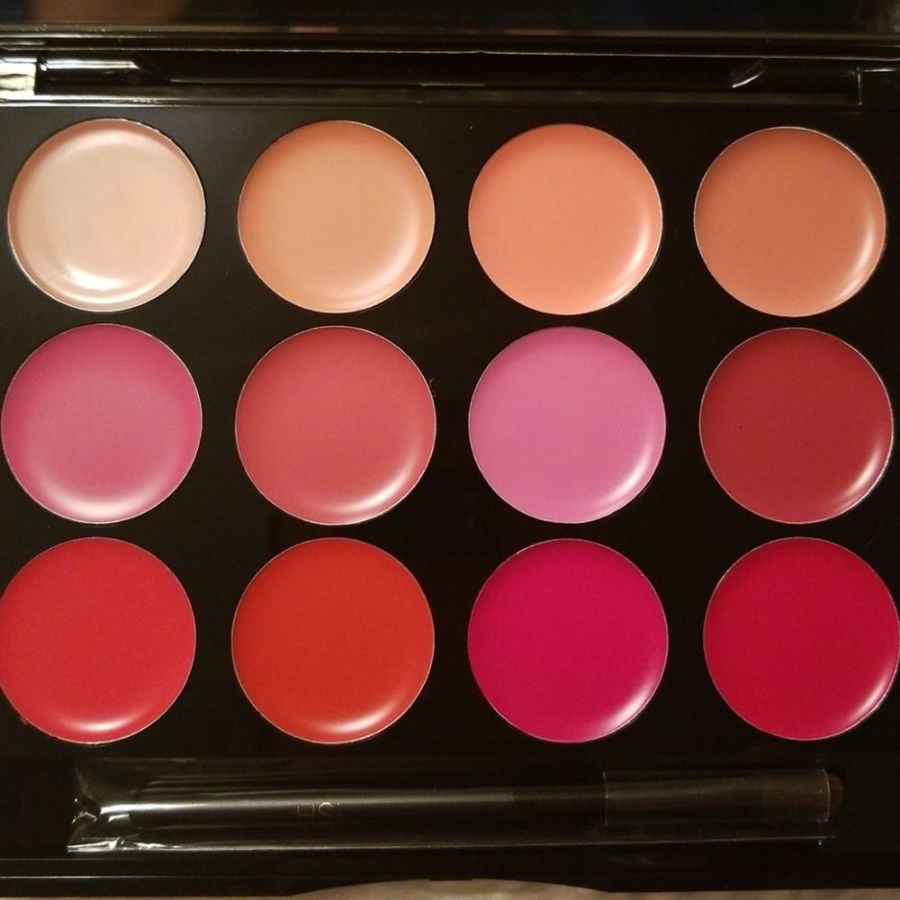 ISH Lip Statement Palette-brand new never used!
